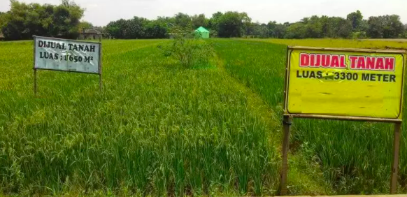 tanah pusaka