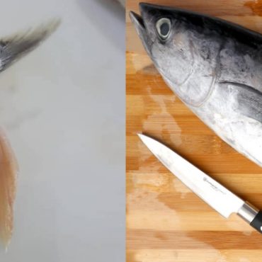 petua buang bisa ikan