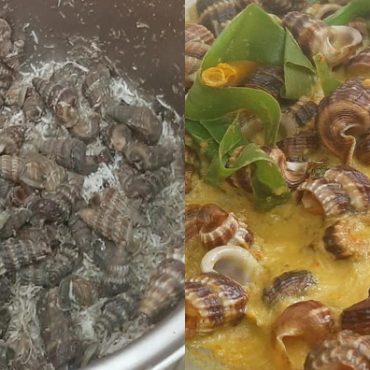 cara bersihkan siput sedut