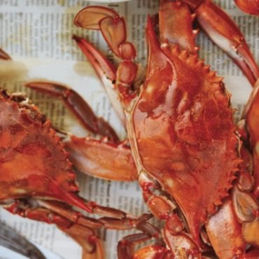 MAKANAN BERKHASIAT UNTUK ANAK