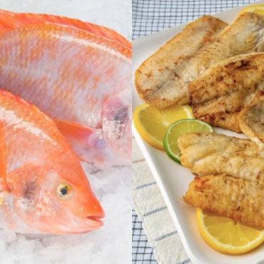 ikan untuk otak anak